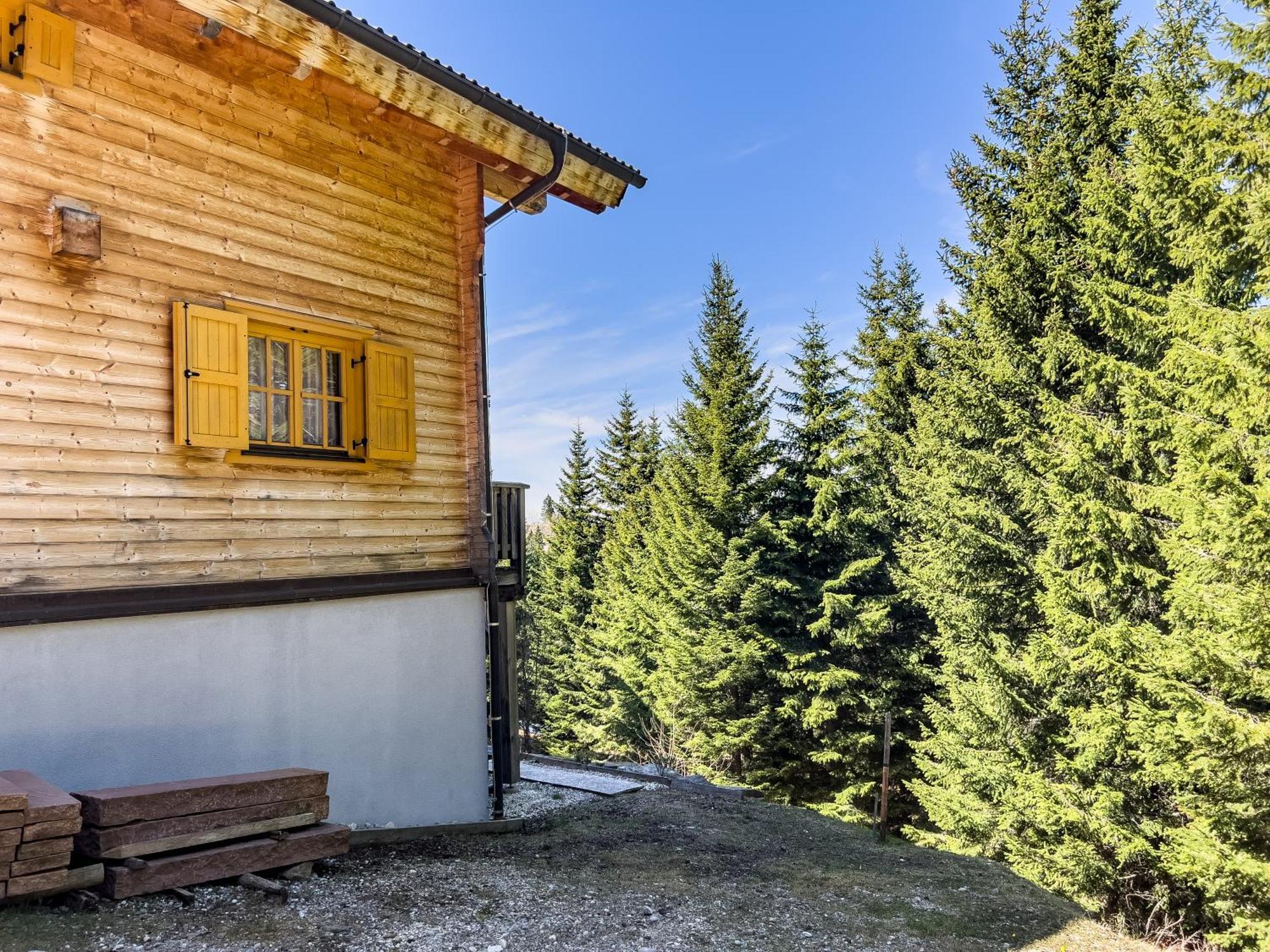 1A Chalet Enzianhuette - Ski Fahren Und Indoor Sauna Villa Elsenbrunn Buitenkant foto